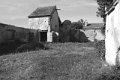 Noir et blanc (2)